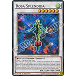 LC5D-IT100 Rosa Splendida rara 1a Edizione (IT) -NEAR MINT-