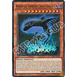 LC5D-IT149 Immortale Terrestre Chacu Challhua super rara 1a Edizione (IT) -NEAR MINT-