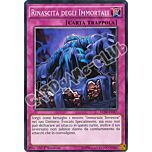 LC5D-IT157 Rinascita degli Immortali comune 1a Edizione (IT) -NEAR MINT-