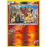 001 / 34 Numel comune foil reverse (EN) -NEAR MINT-