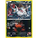 017 / 34 Poochyena comune foil reverse (EN) -NEAR MINT-