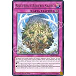 NECH-IT076 Naturia l'Albero Sacro rara 1a edizione (IT) -NEAR MINT-