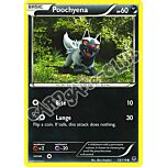053 / 119 Poochyena comune normale (EN)