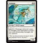 005 / 272 Animago comune (IT) -NEAR MINT-