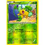 005 / 162 Pansage comune foil reverse (EN) -NEAR MINT-