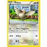 078 / 108 Pidove comune normale (IT) -NEAR MINT-