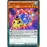 BOSH-IT005 Artistamico Tartaruga Morsino comune 1a Edizione (IT) -NEAR MINT-