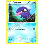 19 / 83 Shellder comune normale (IT) -NEAR MINT-