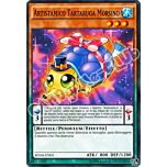 BOSH-IT005 Artistamico Tartaruga Morsino comune unlimited (IT) -NEAR MINT-