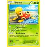 001 / 124 Shuckle non comune normale (IT) -NEAR MINT-