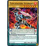 DOCS-IT031 Fuococavaliere Veterano comune 1a Edizione (IT)