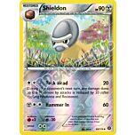 069 / 114 Shieldon non comune foil reverse (EN) -NEAR MINT-