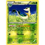 006 / 124 Servine non comune foil reverse (EN) -NEAR MINT-