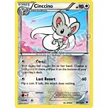 088 / 124 Cinccino non comune foil reverse (EN) -NEAR MINT-