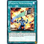 YS16-IT024 Pescata Muscolosa comune 1a Edizione (IT) -NEAR MINT-