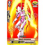 TD03-IT012 Signora Splendente comune normale (IT) -NEAR MINT-