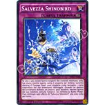MP17-IT224 Salvezza Shinobird comune 1a Edizione (IT) -NEAR MINT-