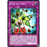 BP02-IT192 Semi del Male comune unlimited (IT)