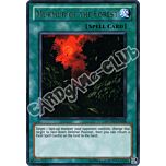 PHSW-EN058 Murmur of the Forest rara unlimited (EN) -NEAR MINT-