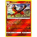 16 / 73 Torracat comune foil reverse (IT) -NEAR MINT-