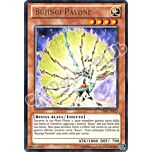 LVAL-IT027 Bujingi Pavone rara Unlimited (IT) -NEAR MINT-