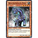 LVAL-IT038 Brachiodonte Nero comune Unlimited (IT) -NEAR MINT-