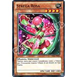 LVAL-IT093 Strega Rosa comune Unlimited (IT) -NEAR MINT-
