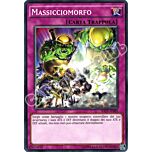 RATE-IT080 Massicciomorfo comune unlimited (IT) -NEAR MINT-