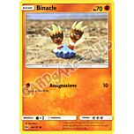066 / 131 Binacle comune normale (IT) -NEAR MINT-