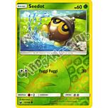012 / 168 Seedot comune foil reverse (IT) -NEAR MINT-