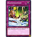 SDPL-IT039 Ridimensionare comune 1a edizione (IT) -NEAR MINT-