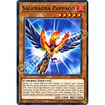 SAST-IT004 Salamagna Pappago comune 1a Edizione (IT) -NEAR MINT-