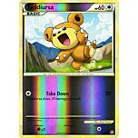 65 / 95 Teddiursa comune foil reverse (EN) -NEAR MINT-