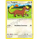 180 / 236 Yungoos comune normale (IT) -NEAR MINT-
