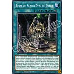 SDRR-IT029 Rovine dei Signori Divini dei Draghi comune 1a Edizione (IT) -NEAR MINT-