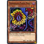 SBSC-IT001 Mandragola Pianta Magica comune 1a Edizione (IT) -NEAR MINT-