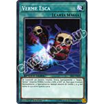 SS03-ITB20 Verme Esca comune 1a Edizione (IT) -NEAR MINT-