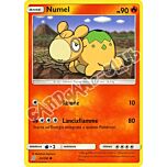 023 / 236 Numel comune normale (IT) -NEAR MINT-