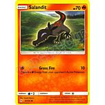 030 / 214 Salandit comune normale (EN) -NEAR MINT-