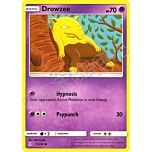 071 / 214 Drowzee comune normale (EN) -NEAR MINT-
