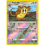 144 / 214 Raticate non comune foil reverse (EN) -NEAR MINT-