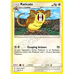 144 / 214 Raticate non comune normale (EN) -NEAR MINT-