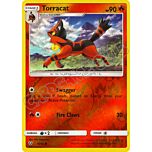 16 / 73 Torracat comune foil reverse (EN) -NEAR MINT-