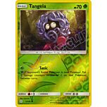 005 / 236 Tangela comune foil reverse (EN) -NEAR MINT-