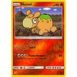 023 / 236 Numel comune foil reverse (EN) -NEAR MINT-