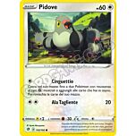143 / 192 Pidove comune normale (IT) -NEAR MINT-