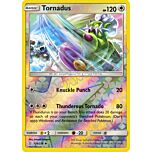 178 / 236 Tornadus non comune foil reverse (EN) -NEAR MINT-