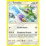 178 / 236 Tornadus non comune normale (EN) -NEAR MINT-