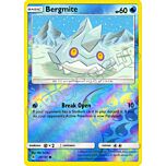 029 / 131 Bergmite comune foil reverse (EN) -NEAR MINT-
