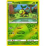 007 / 156 Turtwig comune foil reverse (EN) -NEAR MINT-